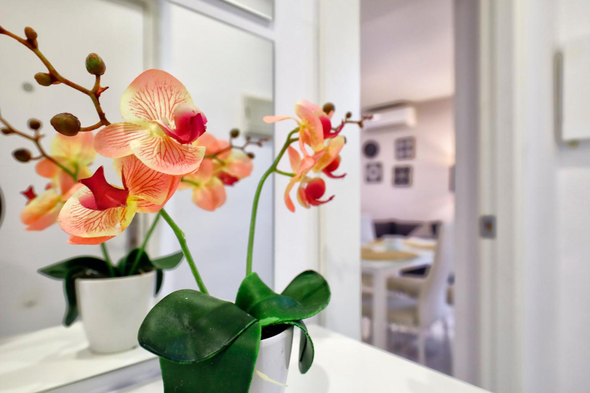 Encanto En La Juderia: Apartamento Con Patio Cordoba Exterior photo